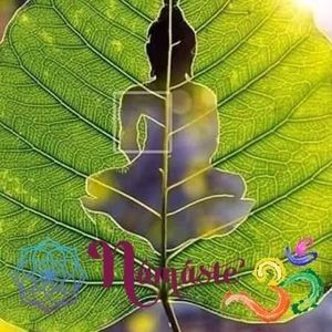 Meet your Posher, Jody